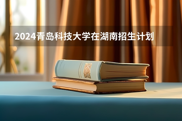 2024青岛科技大学在湖南招生计划一览表