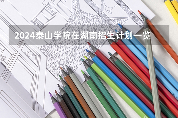 2024泰山学院在湖南招生计划一览表