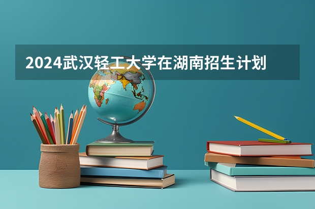 2024武汉轻工大学在湖南招生计划一览表