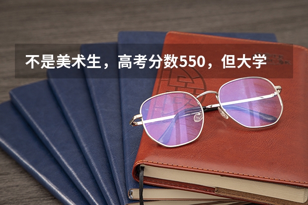 不是美术生，高考分数550，但大学想选环境设计专业，怎么做？