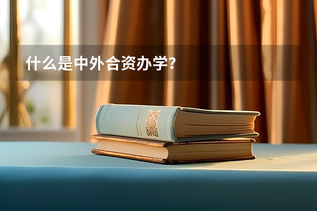 什么是中外合资办学？