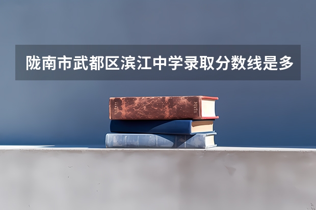 陇南市武都区滨江中学录取分数线是多少？