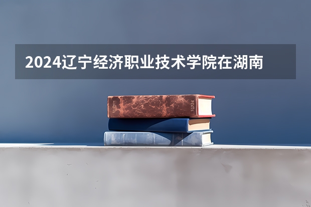 2024辽宁经济职业技术学院在湖南招生计划一览表
