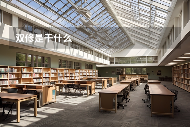 双修是干什么