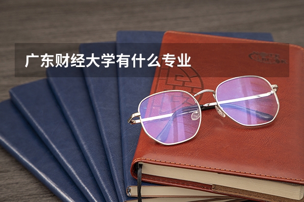 广东财经大学有什么专业