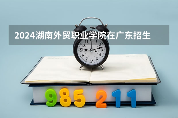 2024湖南外贸职业学院在广东招生计划一览表