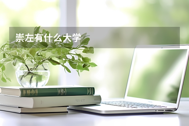 崇左有什么大学