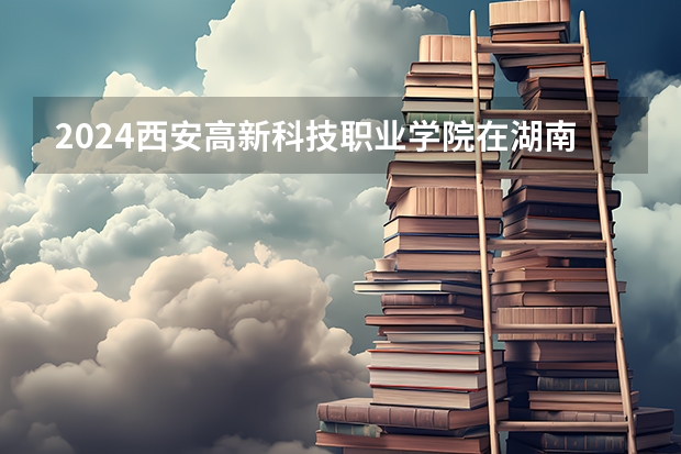 2024西安高新科技职业学院在湖南招生计划一览表
