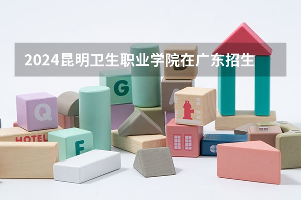 2024昆明卫生职业学院在广东招生计划一览表