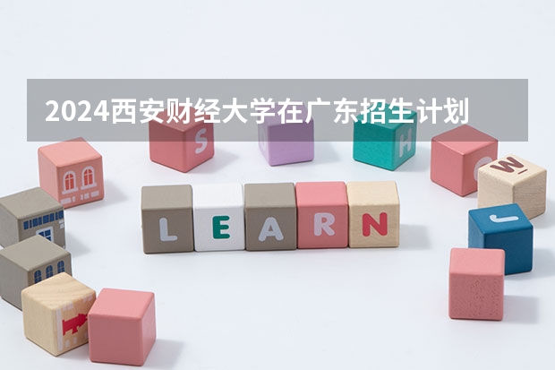 2024西安财经大学在广东招生计划一览表