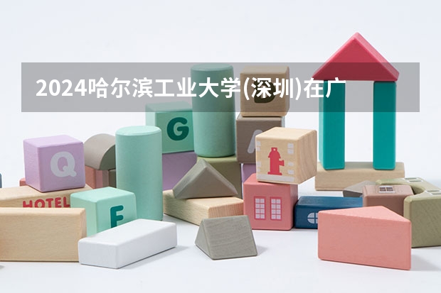 2024哈尔滨工业大学(深圳)在广东招生计划一览表