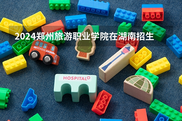 2024郑州旅游职业学院在湖南招生计划一览表