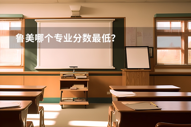 鲁美哪个专业分数最低?