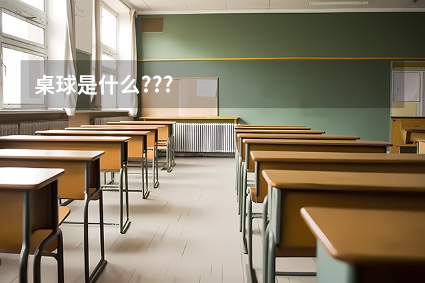 桌球是什么???