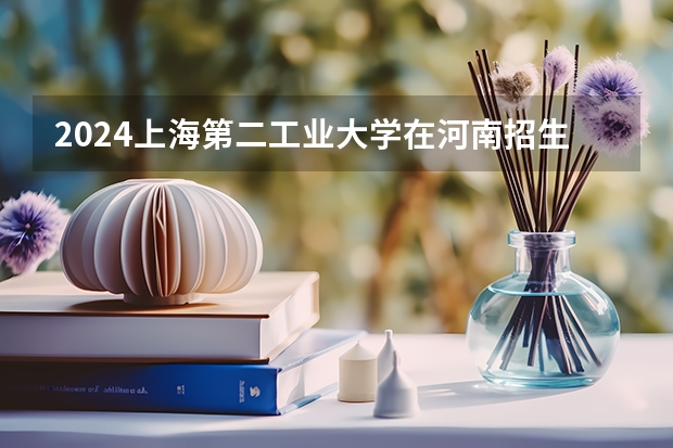 2024上海第二工业大学在河南招生计划一览表