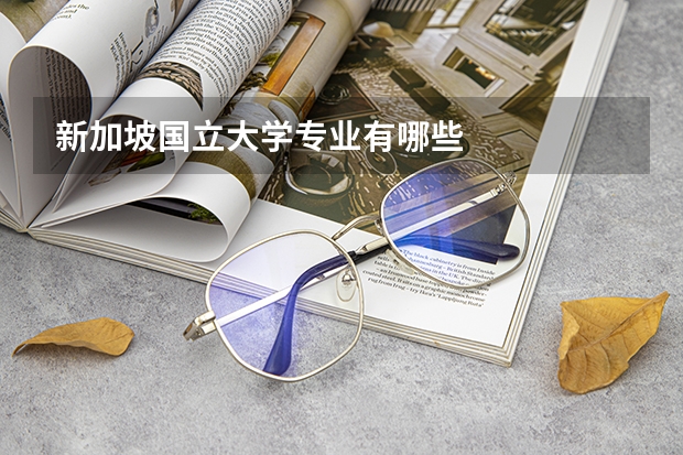 新加坡国立大学专业有哪些