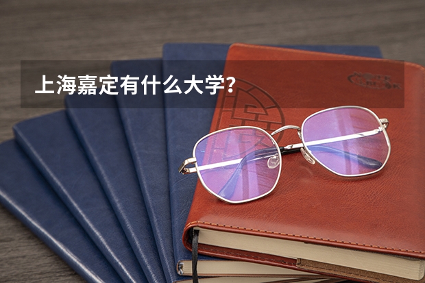 上海嘉定有什么大学?