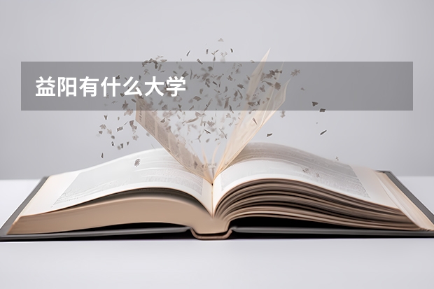 益阳有什么大学