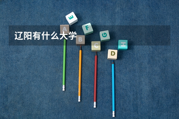 辽阳有什么大学