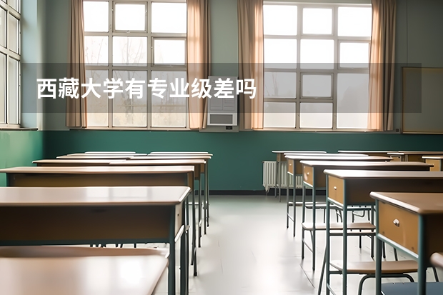 西藏大学有专业级差吗