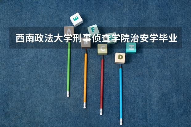 西南政法大学刑事侦查学院治安学毕业后可以干什么