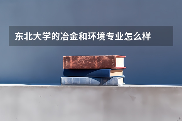 东北大学的冶金和环境专业怎么样