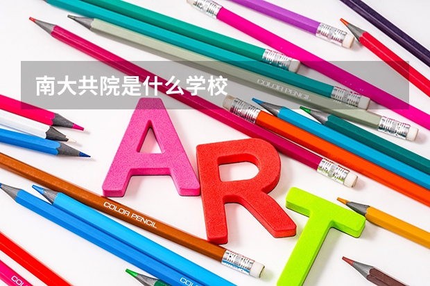 南大共院是什么学校