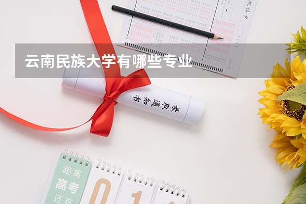 云南民族大学有哪些专业