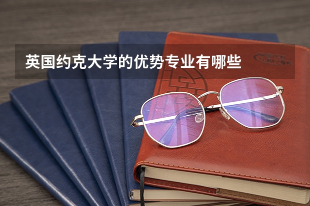 英国约克大学的优势专业有哪些