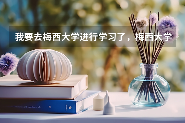 我要去梅西大学进行学习了，梅西大学的插画专业怎么样呢？就业形式好吗？