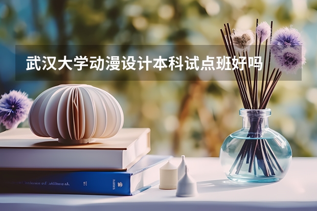 武汉大学动漫设计本科试点班好吗