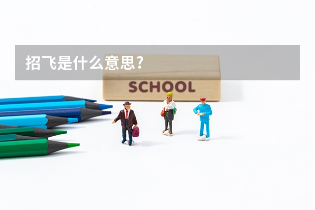 招飞是什么意思?