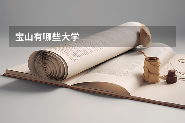 宝山有哪些大学