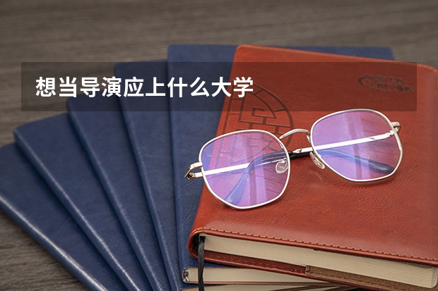 想当导演应上什么大学