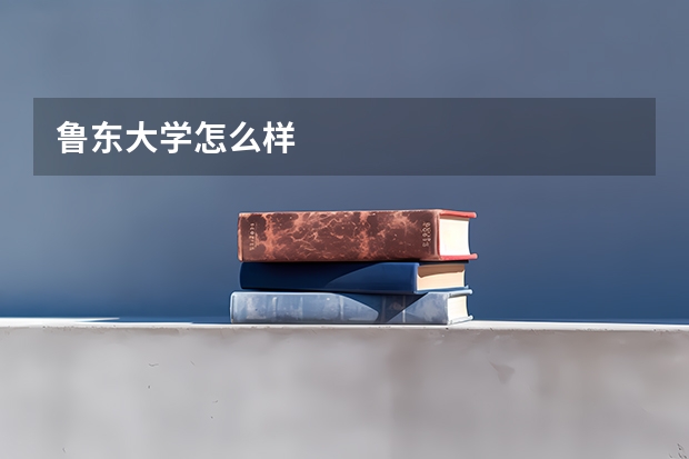 鲁东大学怎么样