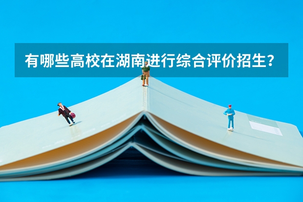 有哪些高校在湖南进行综合评价招生？