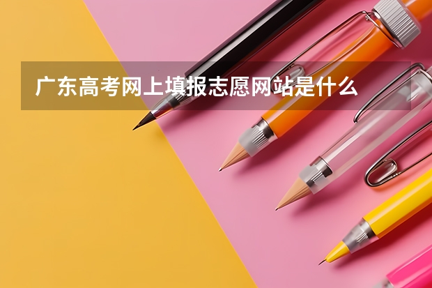 广东高考网上填报志愿网站是什么