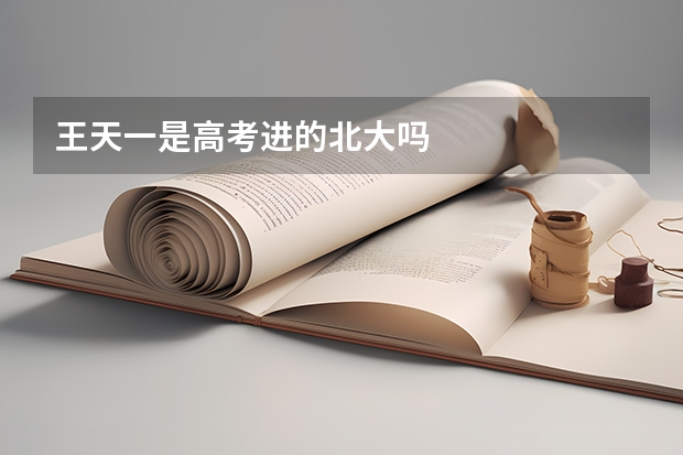 王天一是高考进的北大吗