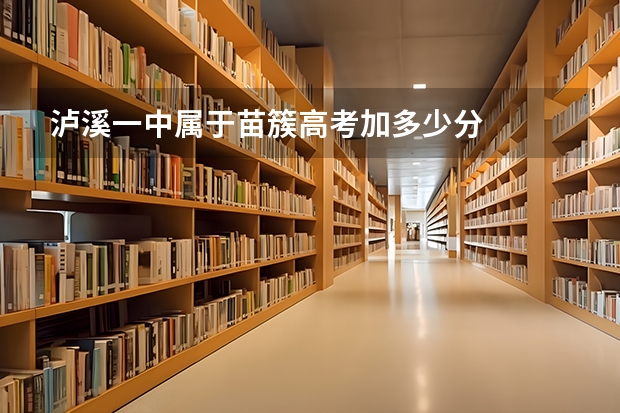 泸溪一中属于苗簇高考加多少分