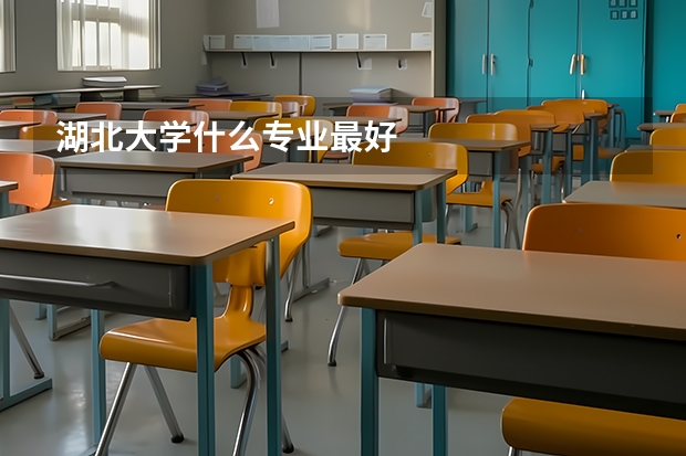 湖北大学什么专业最好