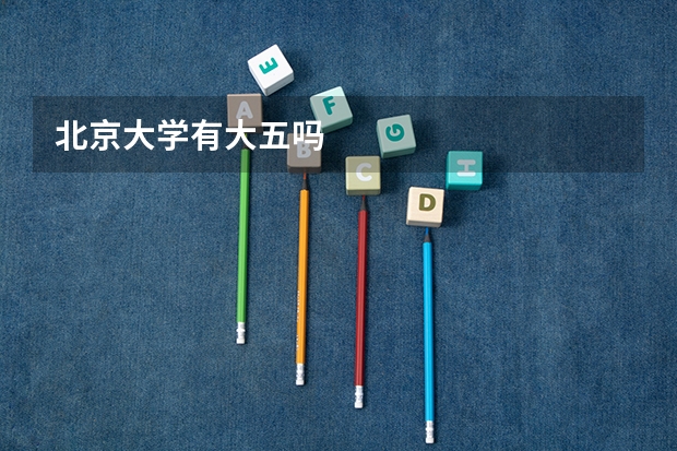 北京大学有大五吗