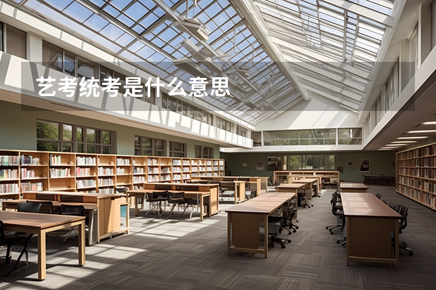 艺考统考是什么意思