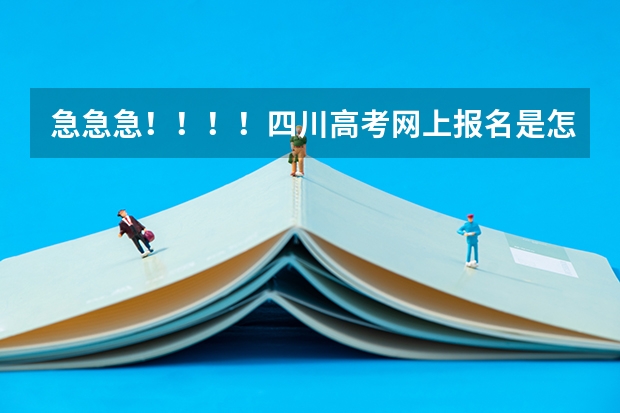 急急急!!!!四川高考网上报名是怎么弄的?先在网上报名然后隔几天再交报名费?还是报名的时