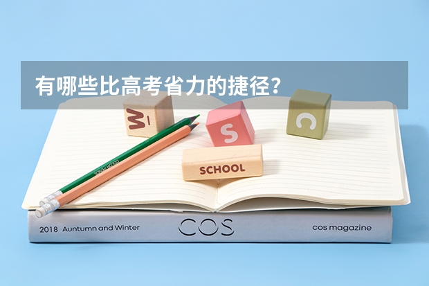 有哪些比高考省力的捷径？