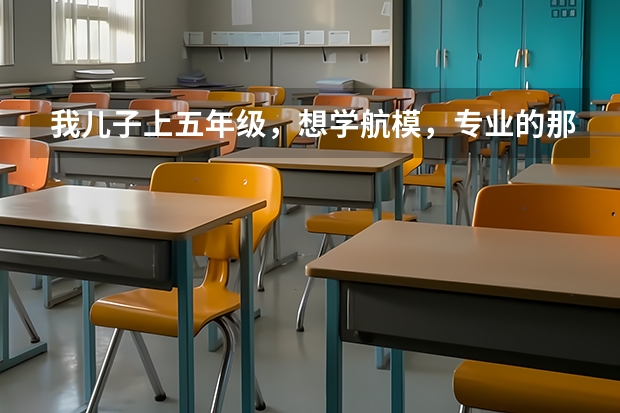 我儿子上五年级，想学航模，专业的那种，对孩子的未来有用吗？听说郑州八中又航模特长生。