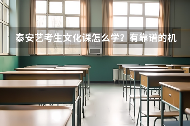 泰安艺考生文化课怎么学?有靠谱的机构推荐吗