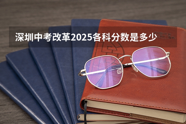 深圳中考改革2025各科分数是多少