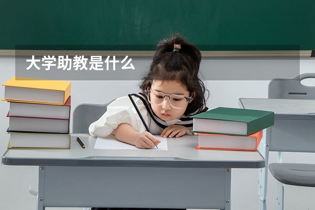 大学助教是什么
