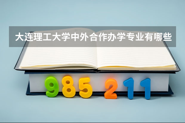 大连理工大学中外合作办学专业有哪些？