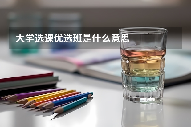 大学选课优选班是什么意思
